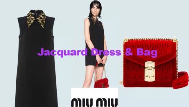 Jacquard dress and velvet bag from Miu Miu