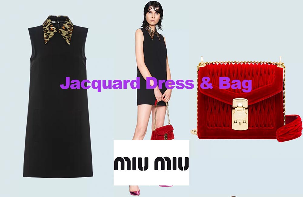 Jacquard dress and velvet bag from Miu Miu